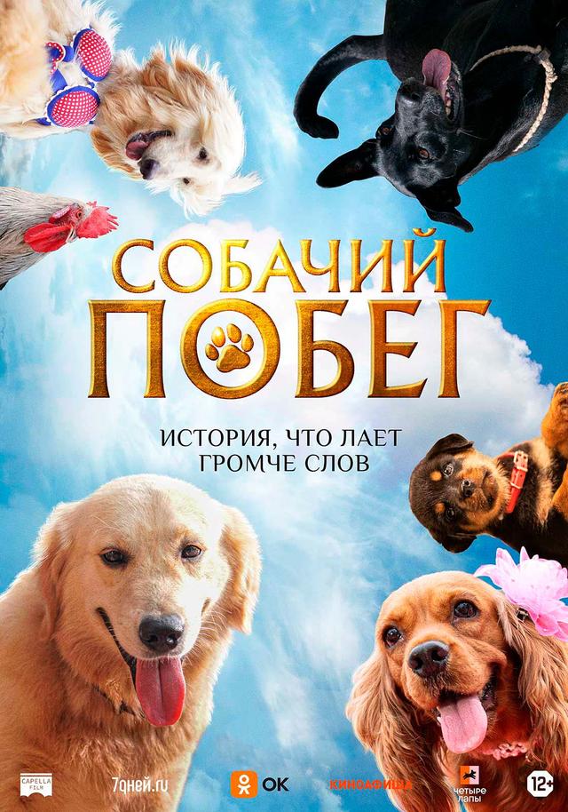 Собачий побег  (12+)